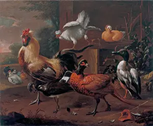 Yard Prints: Poultry-yard, 1650. Creator: Melchior d'Hondecoeter