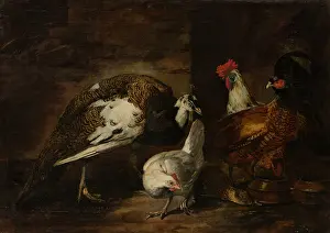 Chicken Prints: Poultry Yard with Peacock and Peahen, 1601-1700. Creator: Mario Nuzzi