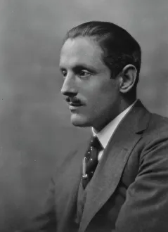 Powell, David, Mr. portrait photograph, 1916 Sept. 21. Creator: Arnold Genthe