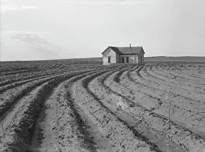 Furrows Prints: Power farming displaces tenants from the land