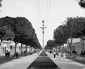 The Prado, looking north, Havana, Cuba, c1904. Creator: Unknown