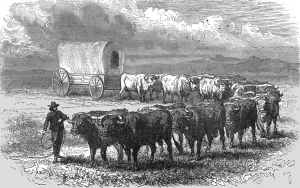 Pioneers Prints: The Prairie Schooner'. -- Emigrant wagon on the plains; Ocean to Ocean