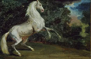 Gericault Theodore Prints: Prancing Horse, 1808 / 12. Creator: Unknown