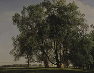 Prater Landscape, 1830. Artist: Waldmuller, Ferdinand Georg (1793-1865)