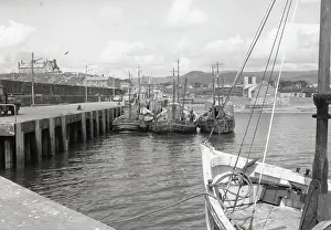 Fishing Boat Prints: Prawn drifters, Kilkeel Harbour