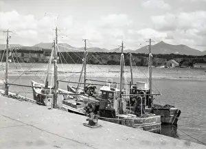 Fishing Boat Prints: Prawn drifters, Kilkeel Harbour