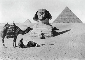 Camels Collection: Praying before a sphinx, Cairo, Egypt, c1920s
