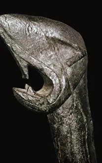 Black Background Prints: Pre-Viking head of a sea-monster, probably from the prow of a ship