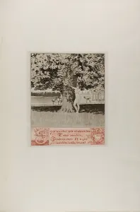 A Life Prints: Preface I, plate one from A Life, 1884. Creator: Max Klinger