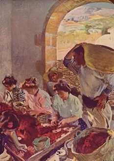 Joaquin Collection: The Preparation of Dry Grapes, 1890, (c1932). Artist: Joaquin Sorolla y Bastida