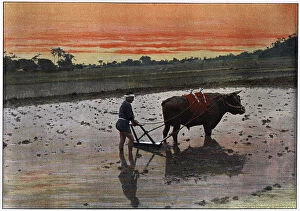 Rice Paddy Gallery: Preparation of a Rice Plantation in Japan, c1890. Artist: Charles Gillot