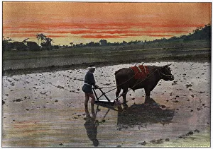 Rice Paddy Prints: Preparation of a Rice Plantation in Japan, c1890. Artist: Charles Gillot