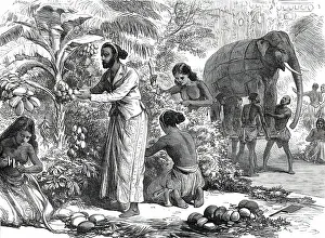 Preparing the decorations at Colombo, Ceylon, for the Royal Visit, from a sketch by one... 1876. Creator: Unknown