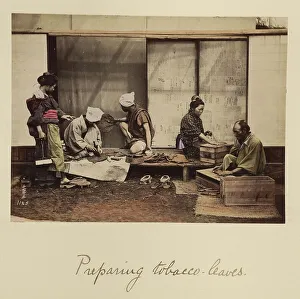 Workwear Prints: Preparing Tobacco Leaves, about 1873-1883. Creator: Shinichi Suzuki I