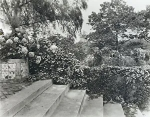 Plant Container Prints: Pre`s Choisis, Albert Herter house