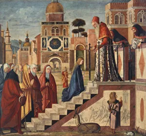 Venetian School Collection: The Presentation of the Blessed Virgin Mary, 1502-1505