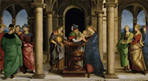 Anna The Prophetess Gallery: Presentation at the Temple (Predella Panel of the Oddi Altarpiece), 1503. Creator