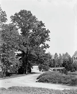 Chevy Chase Prints: President at Chevy Chase, Washington, D.C. The, c1904. Creator: Unknown