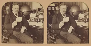 Roosevelt Teddy Prints: President Theodore Roosevelt at his desk in the White House