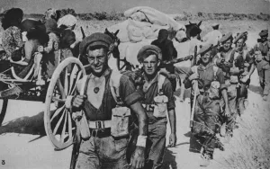 Liberation Collection: Pressing on from the Bridgehead, 1943-44
