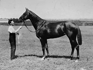 British Sports And Sportsmen Collection: Pretty Polly, 1901-1931, (1911)