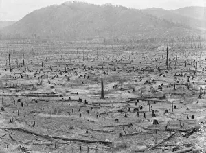 Cutover Prints: Priest River Valley, where many settlers grow hay between the stumps