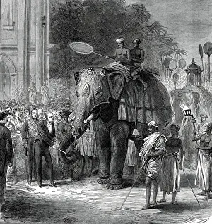 Sugarcane Prints: The Prince giving sugar-cane to the elephants at the rehearsal of the Perahara