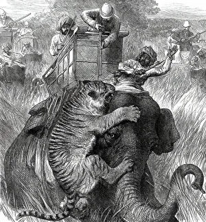 Biting Prints: The Prince of Wales in the Nepaul Terai: Colonel Sir Arthur Ellis
