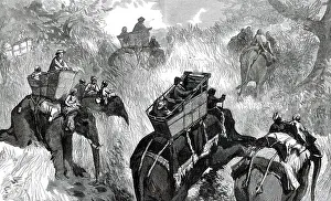 Mahouts Prints: The Prince of Wales in the Terai: crossing a Nullah in the Jungle...1876. Creator: W. J. P