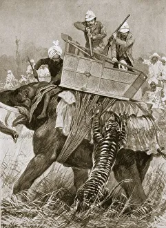 Shooting Prints: The Prince of Wales on a tiger hunt during his visit to India, 1876 (1901). Artist