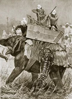Attacking Collection: The Prince of Wales on a tiger hunt during his visit to India, 1876 (1901). Artist