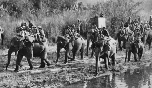 The Prince of Wales tiger shooting in India, 1921