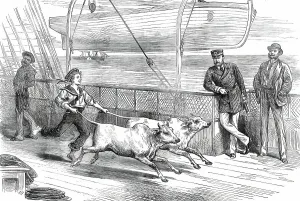 Lifeboat Prints: The Prince's Voyage Home from India: life on board the Serapis: exercising the Gainees'