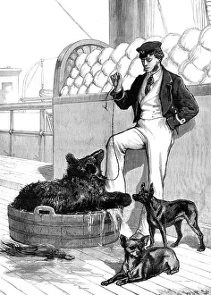 Pets Prints: The Prince's Voyage Home from India