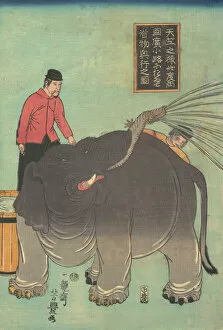 Elephant Collection: Print, ca. 1863. Creator: Ichiryusai Yoshitoyo