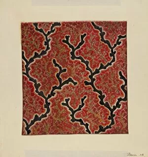 Growth Gallery: Printed Calico, 1938. Creator: Marie Lutrell