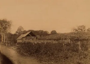 Penal Colony Prints: A Prison Animal Yard Derbinsky Prison in the Tymovsk Valley