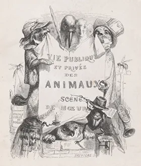 Brevi And Xe8 Prints: Private and Public Life of Animals; Scenes of Customs, ca. 1837-47