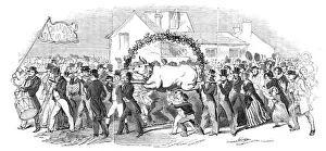Buckinghamshire Prints: Procession of the ox, at Buckingham, 1844. Creator: Unknown