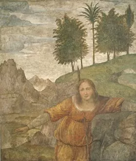 Mural Gallery: Procris Pierced by Cephalus Javelin, c. 1520 / 1522. Creator: Bernardino Luini