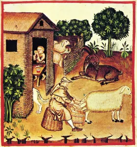 The production of cheese. A miniature from Tacuinum Sanitatis, Second Half of 14th cen Artist: Anonymous