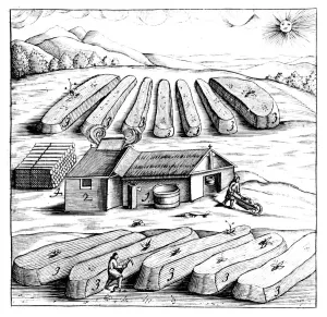 Production of saltpetre (nitre, potassium nitrate, or KN03), 1683 Production of saltpetre (nitre, potassium nitrate, or KN03), 1683