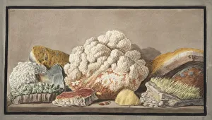 Sulphur Prints: Productions of the Solfaterra, 1776