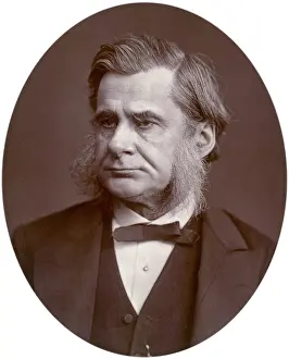 Darwin Prints: Professor Thomas Henry Huxley, 1880. Creator: Lock & Whitfield