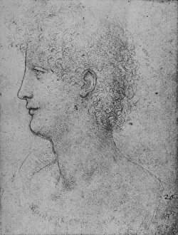 Profile to the Left of a Curly-Headed Youth, c1480 (1945). Artist: Leonardo da Vinci
