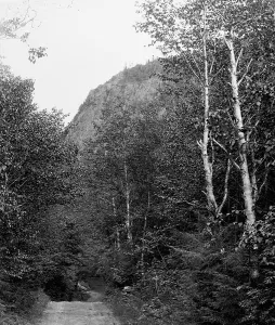 Roads Prints: Profile and Notch Road, Dixville Notch, The, between 1900 and 1906. Creator: Unknown