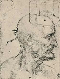 Inspiration Collection: Profile to Right of a Bald Man, c1480 (1945). Artist: Leonardo da Vinci