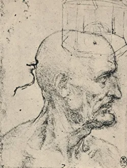 Inspiration Collection: Profile to Right of a Bald Man, c1480 (1945). Artist: Leonardo da Vinci