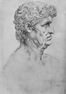 Profile to the Right of an Elderly Man, c1480 (1945). Artist: Leonardo da Vinci Profile to the Right of an Elderly Man, c1480 (1945). Artist: Leonardo da Vinci
