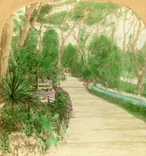Exotic Collection: Promenade, Alameda Garden, Rock of Gibraltar, 1896. Creator: Keystone View Company